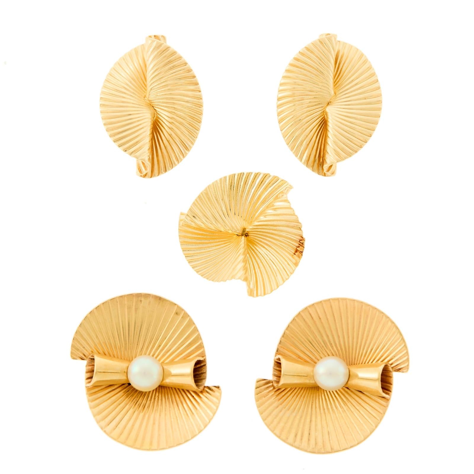 Seashell Gold Earrings